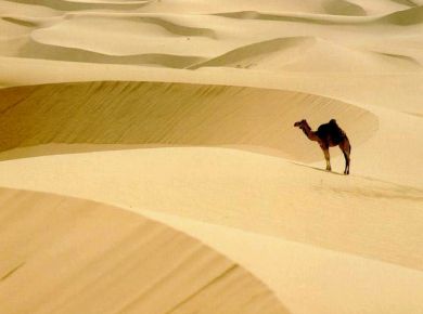 Psek na pouti Sahara