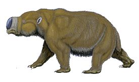Diprotodon australis