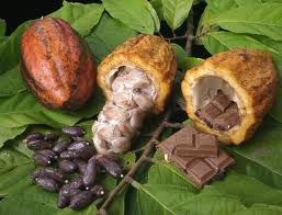 Kakaové boby a čokoláda